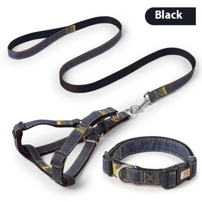 Dog Leash