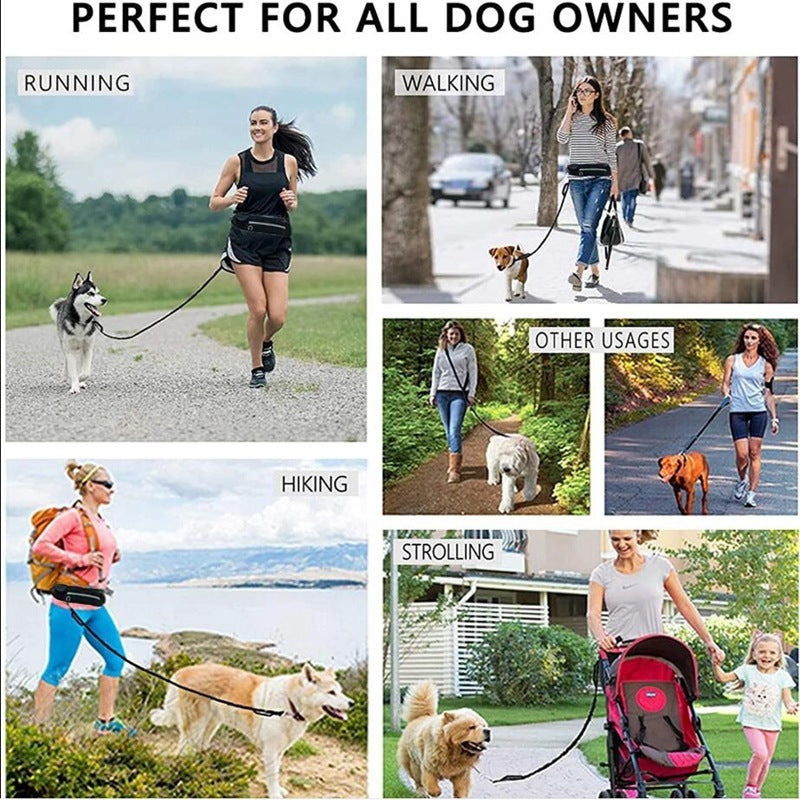Walking/running leash + harness for dog