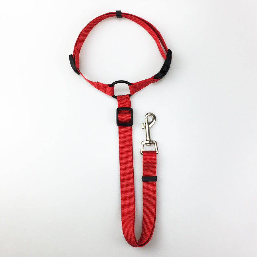 Dog seatbelt