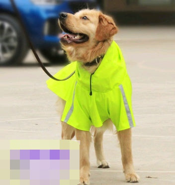 Dog raincoat