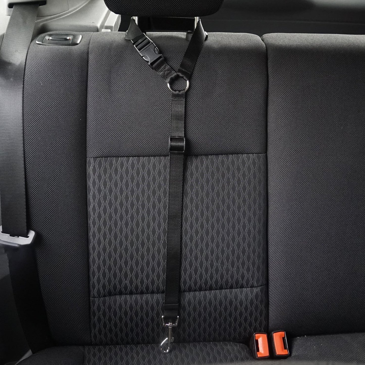Dog seatbelt