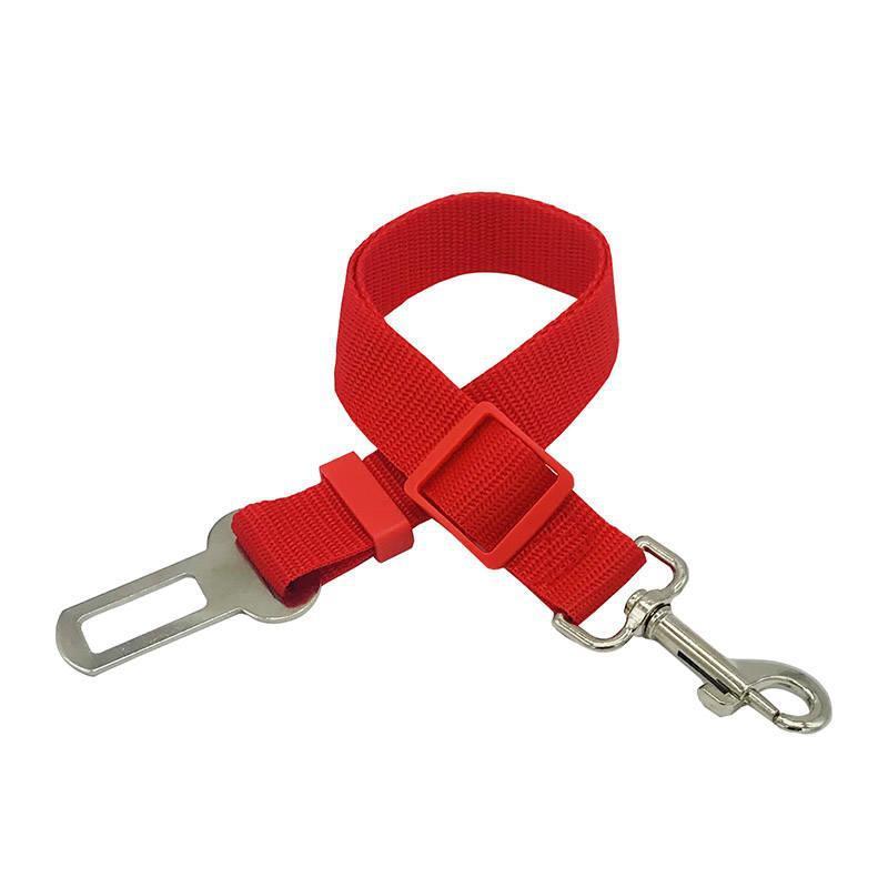 Dog seat belt