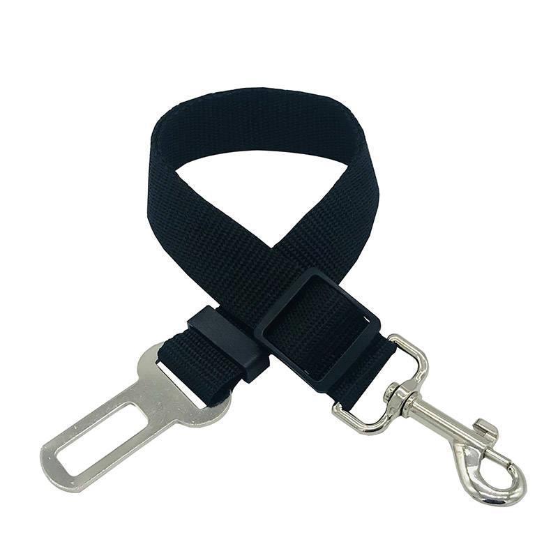 Dog seat belt