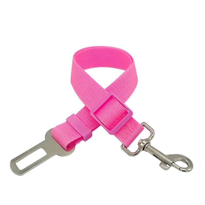Dog seat belt