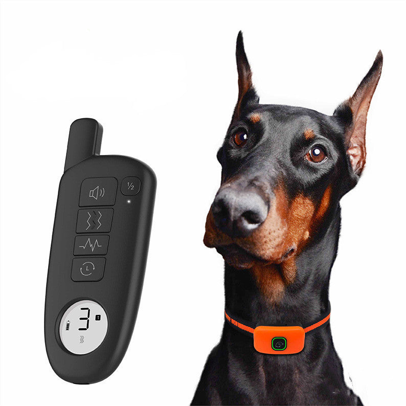Dog Training Device