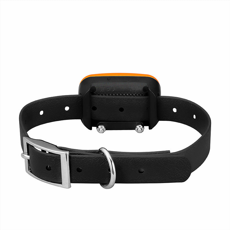 Dog Training Device