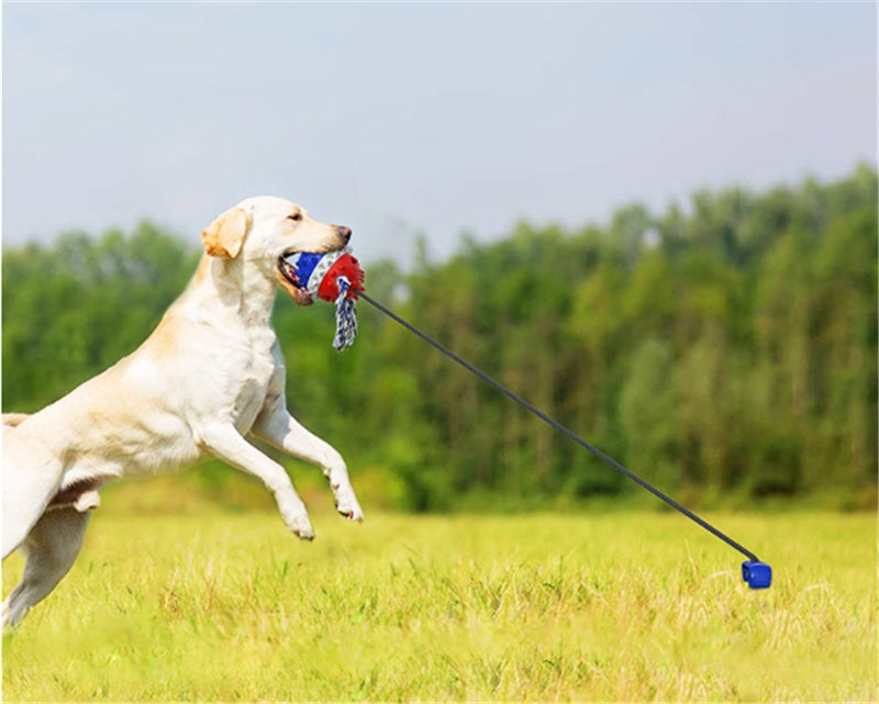 Tug a war toy