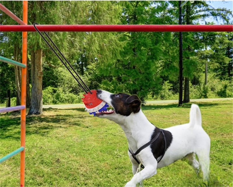 Tug a war toy