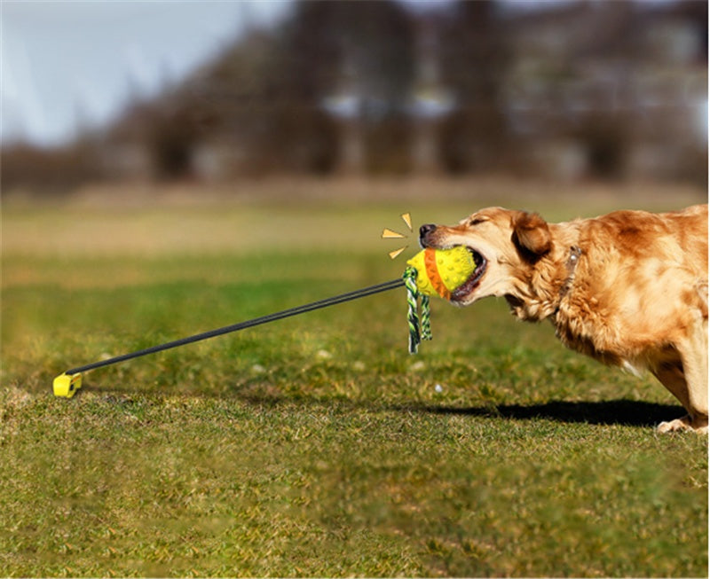 Tug a war toy