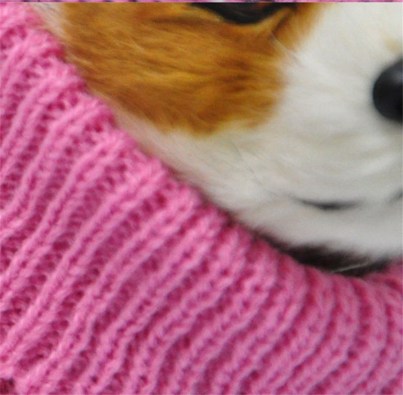 Dog Sweater