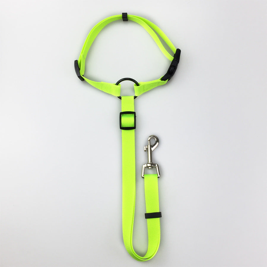 Dog seatbelt