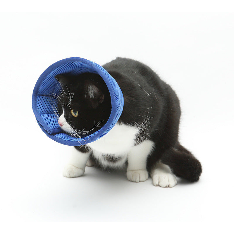 Dog Cat scratch cone