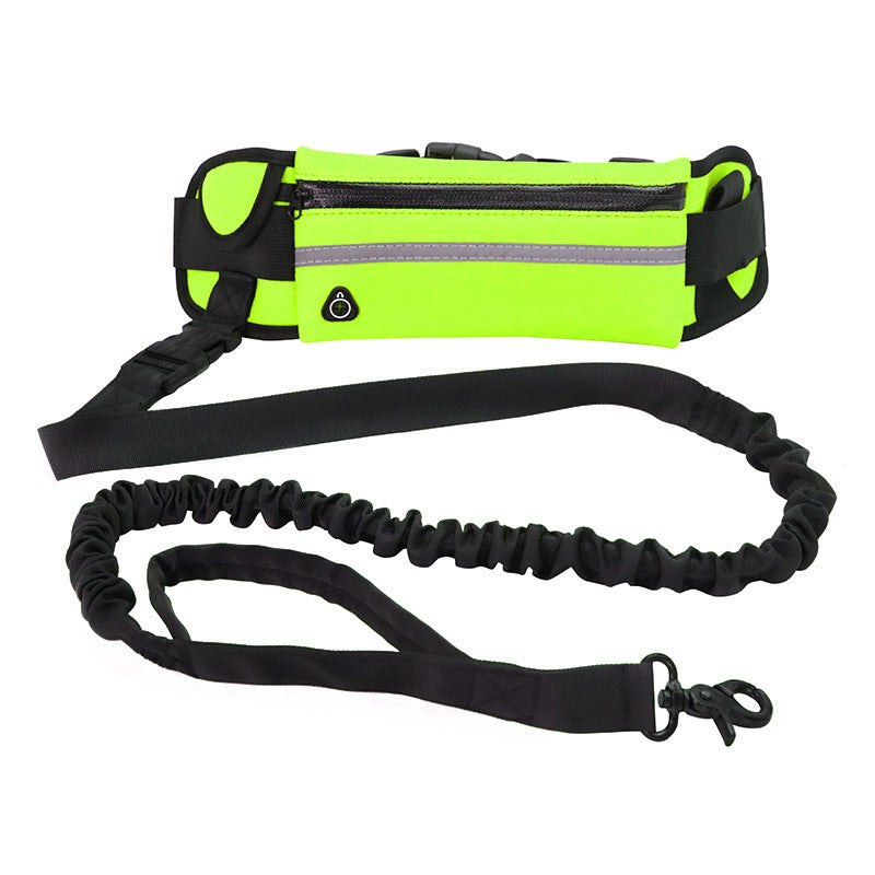 Walking/running leash + harness for dog