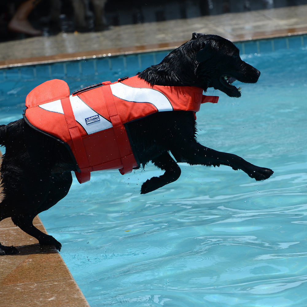 Life vest dogs
