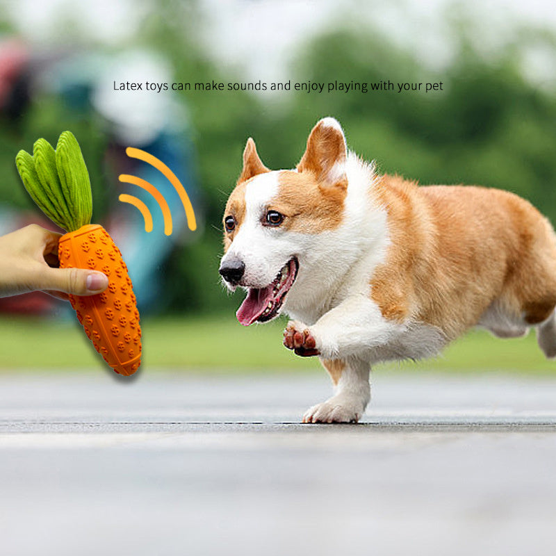 Dog carrot toy