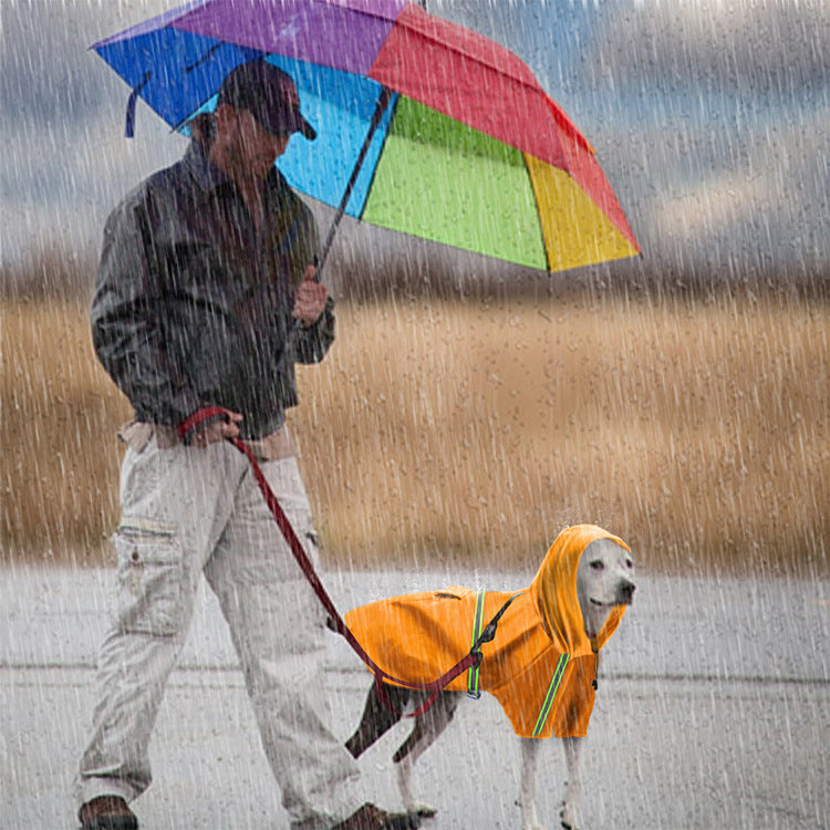 Dog raincoat