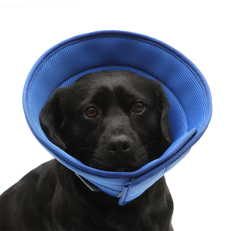Dog Cat scratch cone