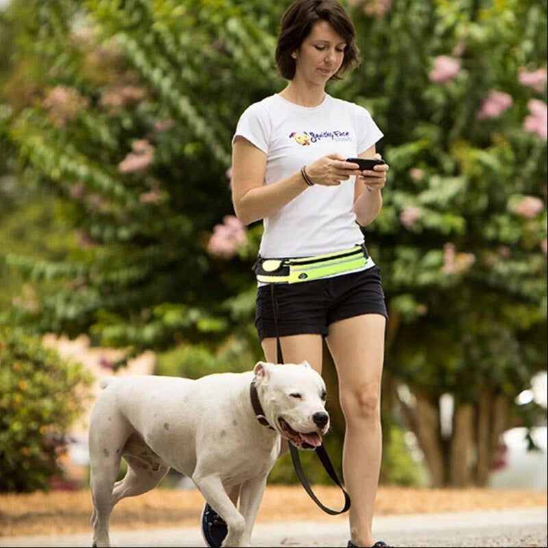 Walking/running leash + harness for dog