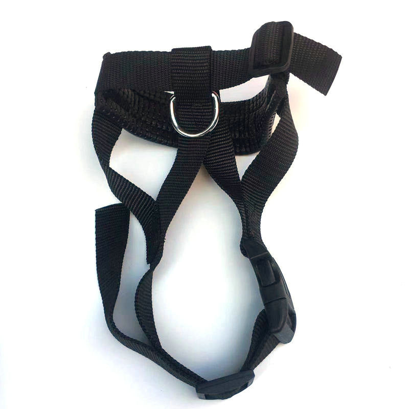 Dog Mouth Cover