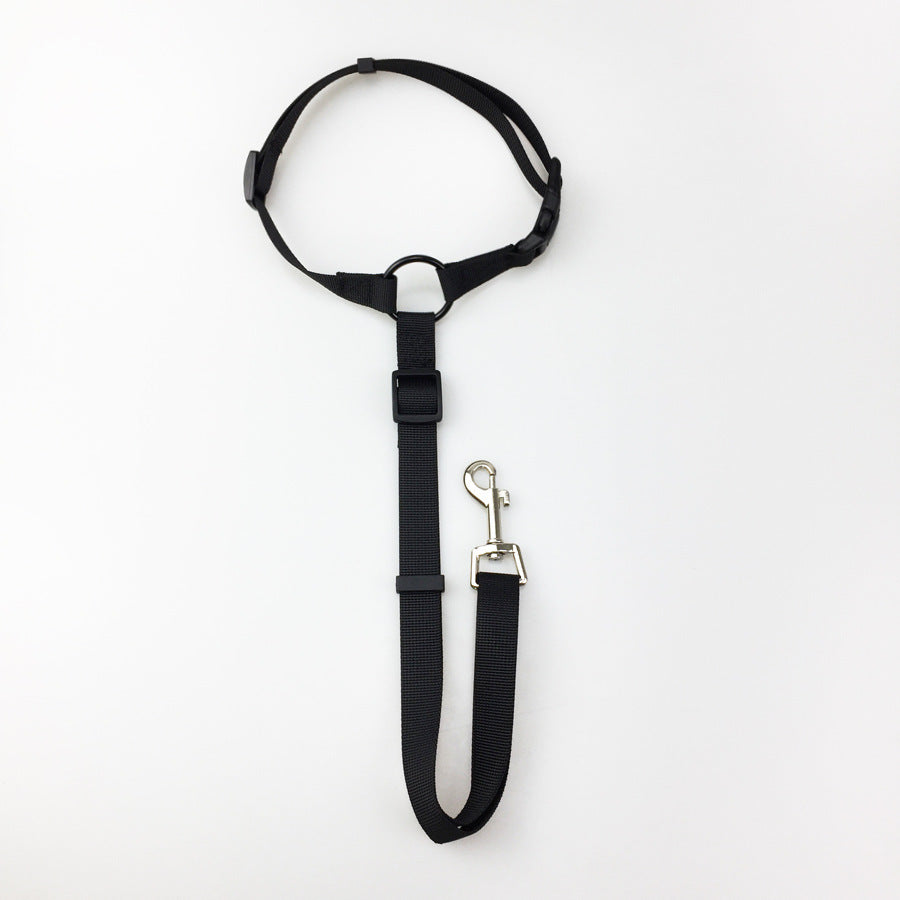Dog seatbelt