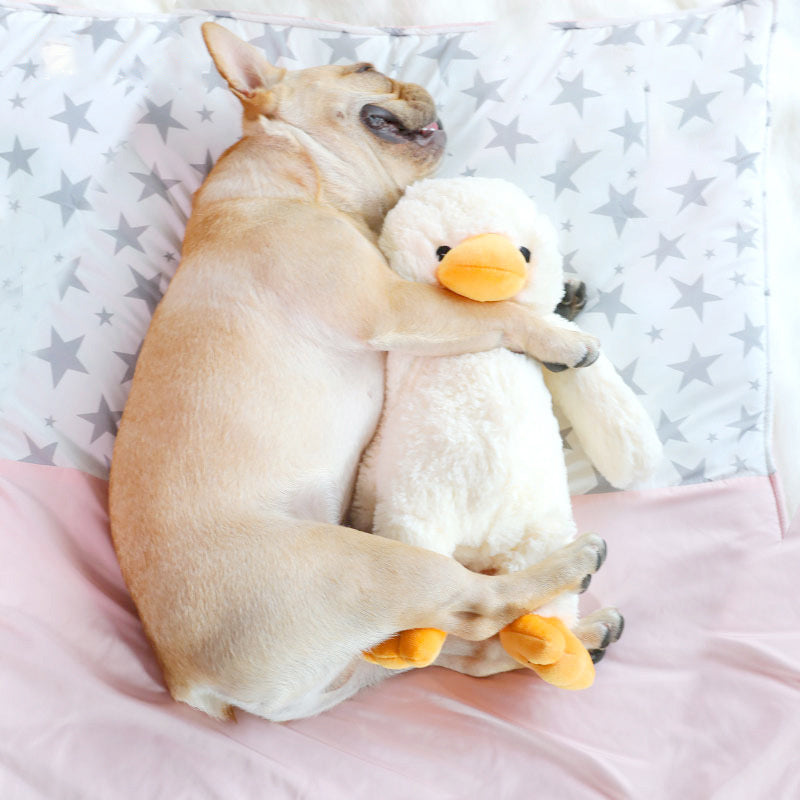Chicken Plush Toys