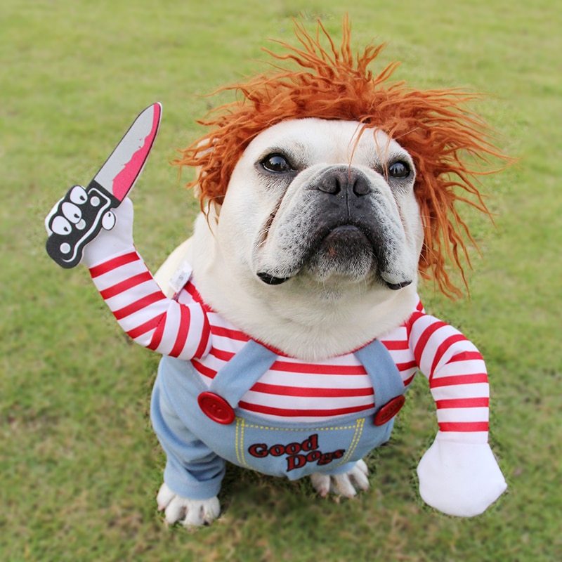 Chucky and horseman riding costume