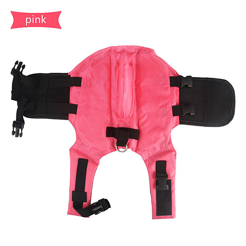 Dog Life vest