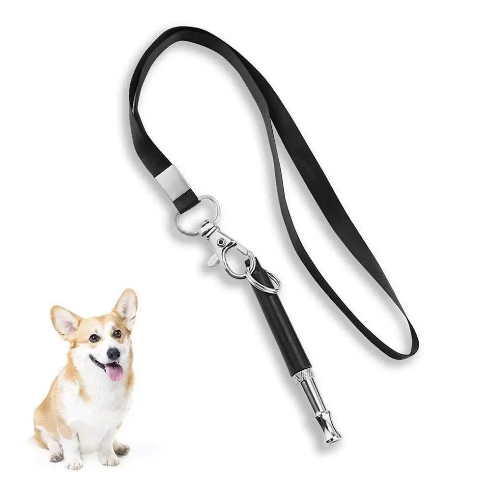 Dog Trainings Whistle