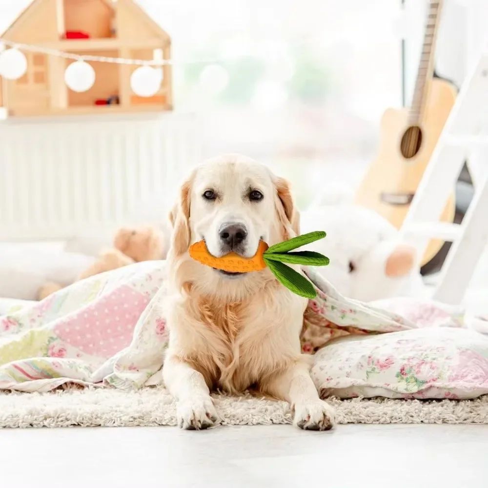 Dog carrot toy