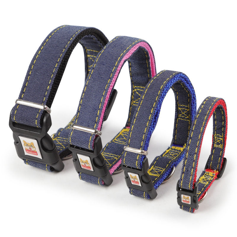 Dog Leash