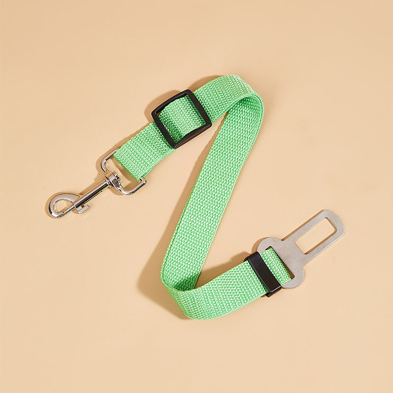Dog seat belt
