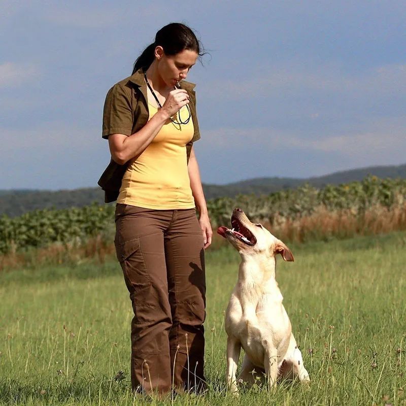 Dog Trainings Whistle