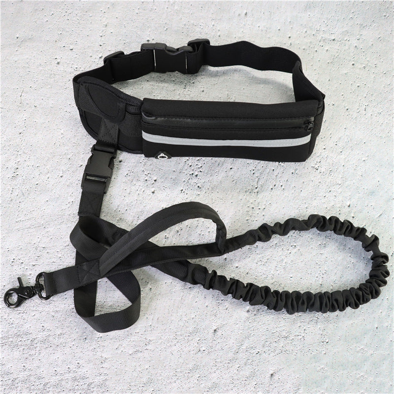 Walking/running leash + harness for dog
