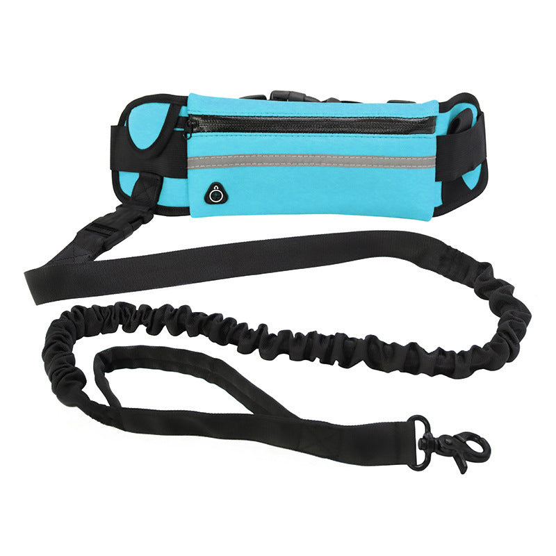 Walking/running leash + harness for dog