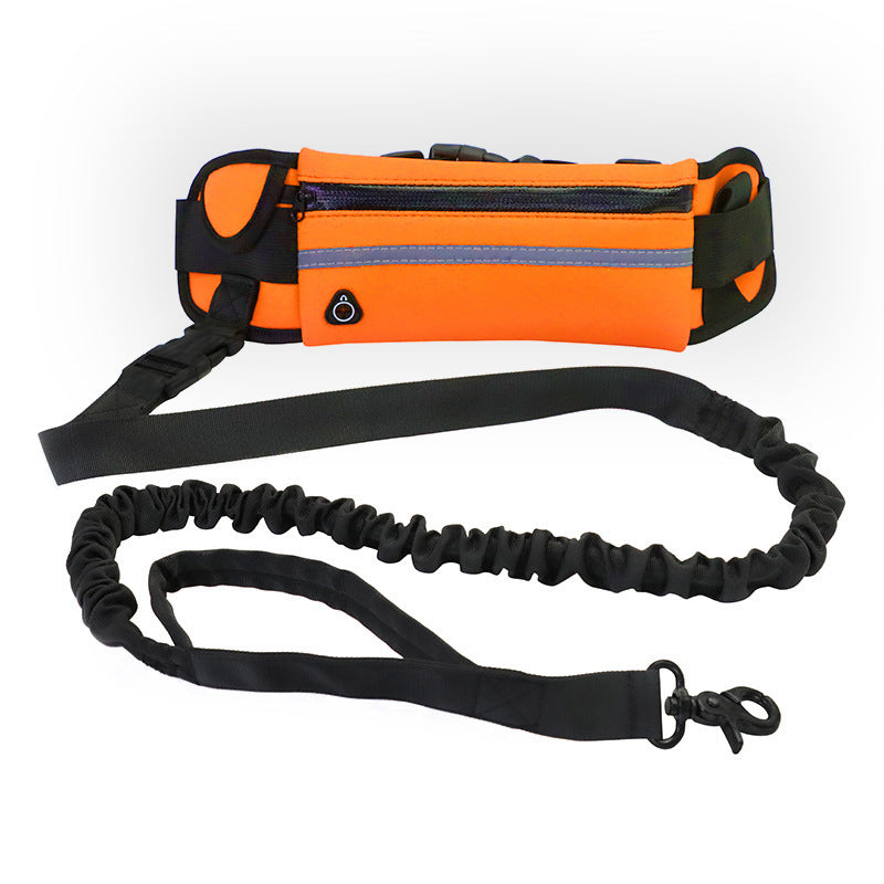 Walking/running leash + harness for dog