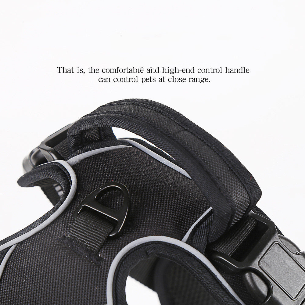 Dog Harness