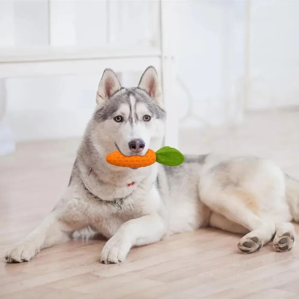 Dog carrot toy