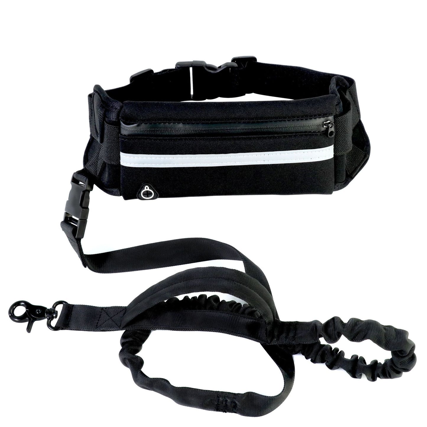 Walking/running leash + harness for dog