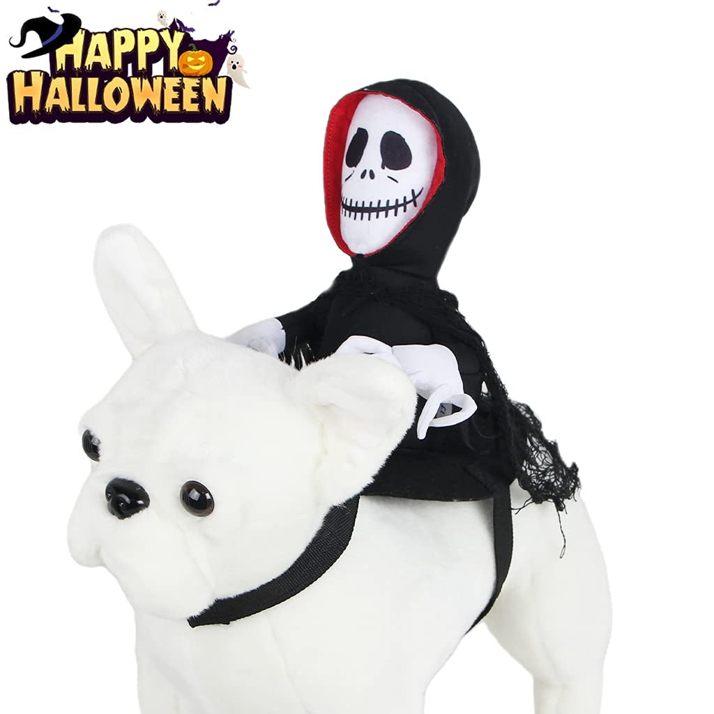 Goblin riding costume