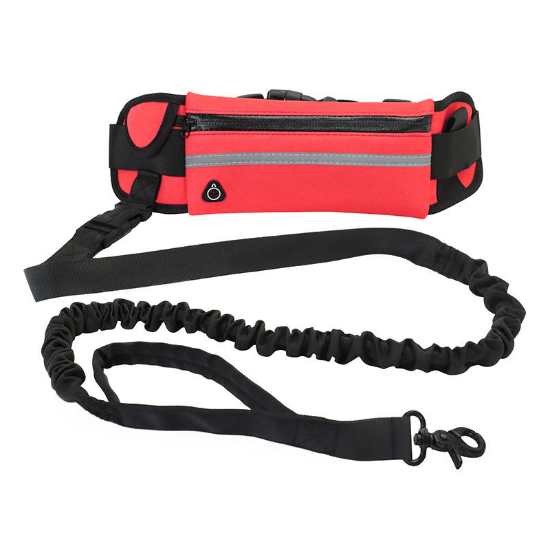 Walking/running leash + harness for dog