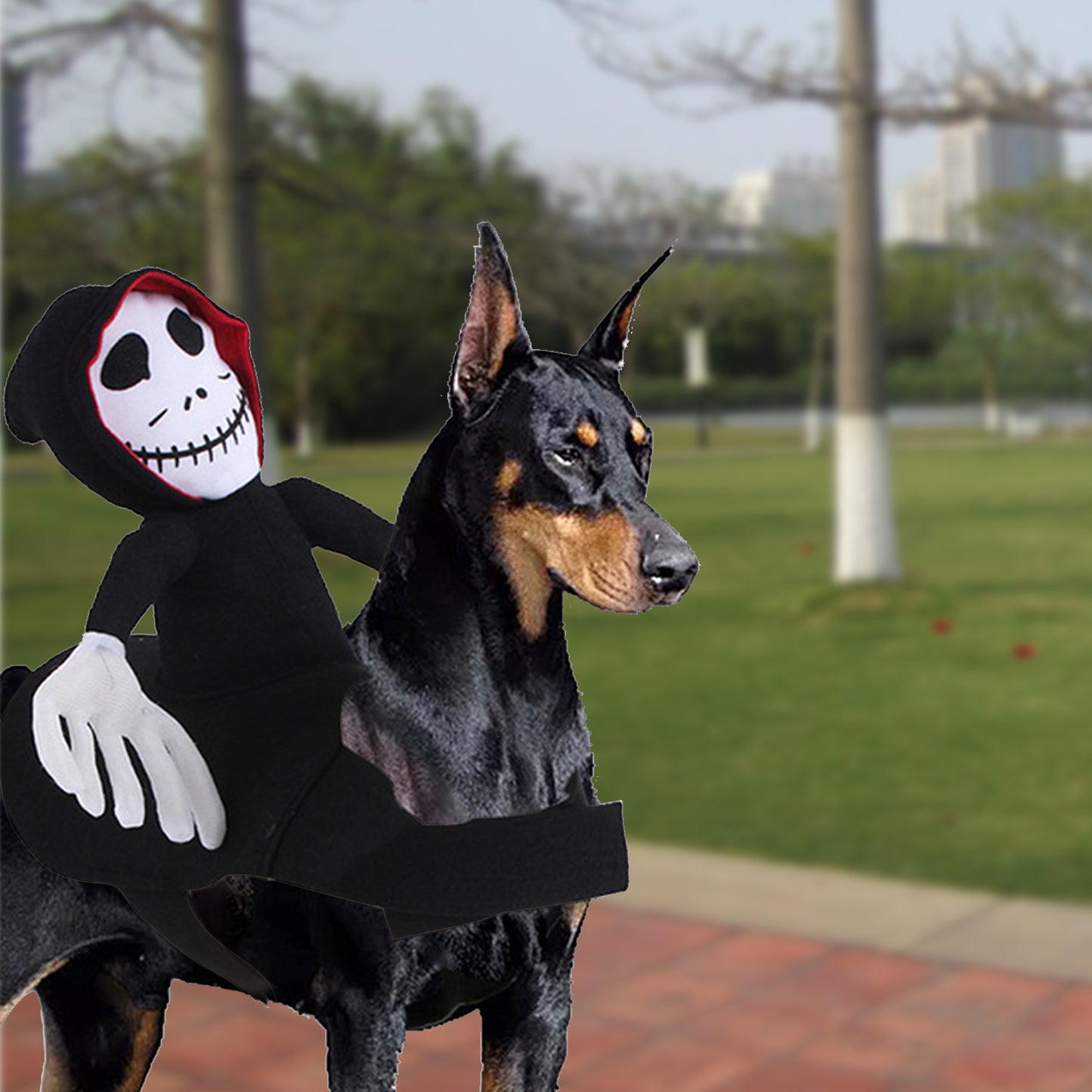 Goblin riding costume