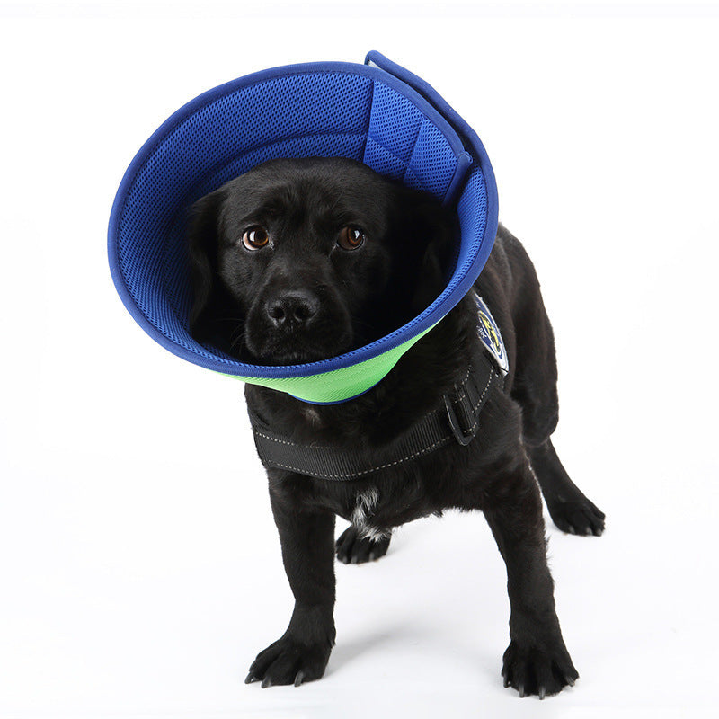 Dog Cat scratch cone