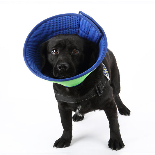 Dog Cat scratch cone