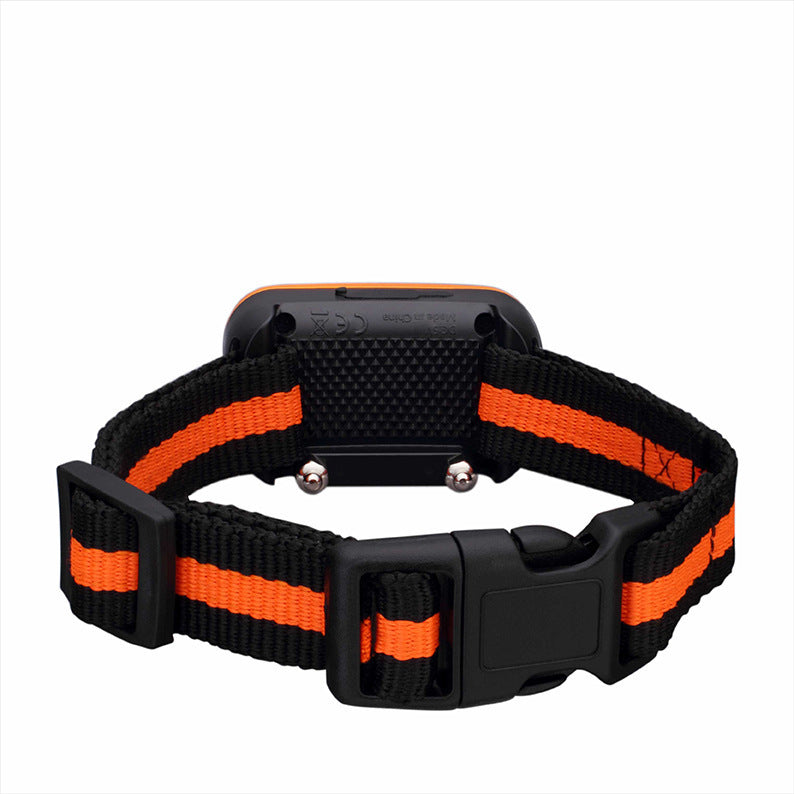 Dog Training Device