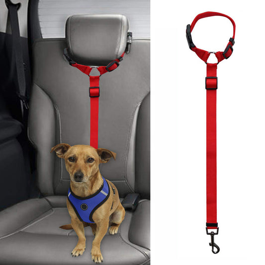 Dog seatbelt