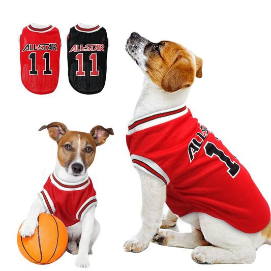 Allstar basketball jersey
