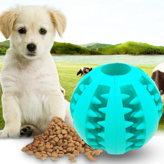 Pet feeder