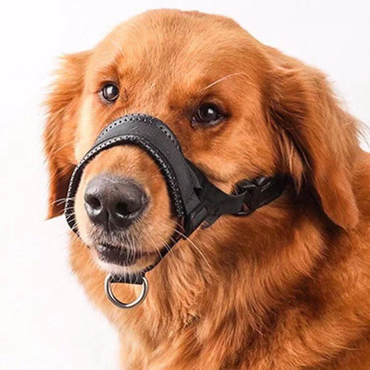 Dog Mouth Cover